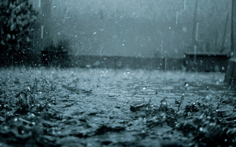 Rain: mưa