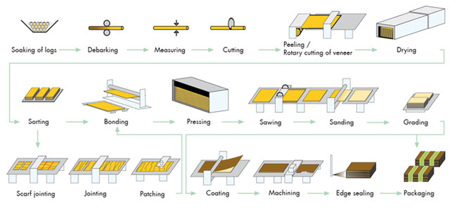 Từ vựng tiếng Anh chuyên ngành Gỗ