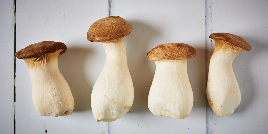 Nấm đùi gà: King oyster mushroom