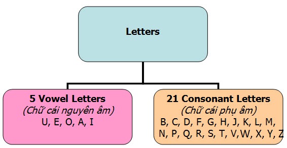 Phân loại chữ cái nguyên âm và phụ âm