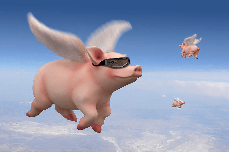 Pigs might fly