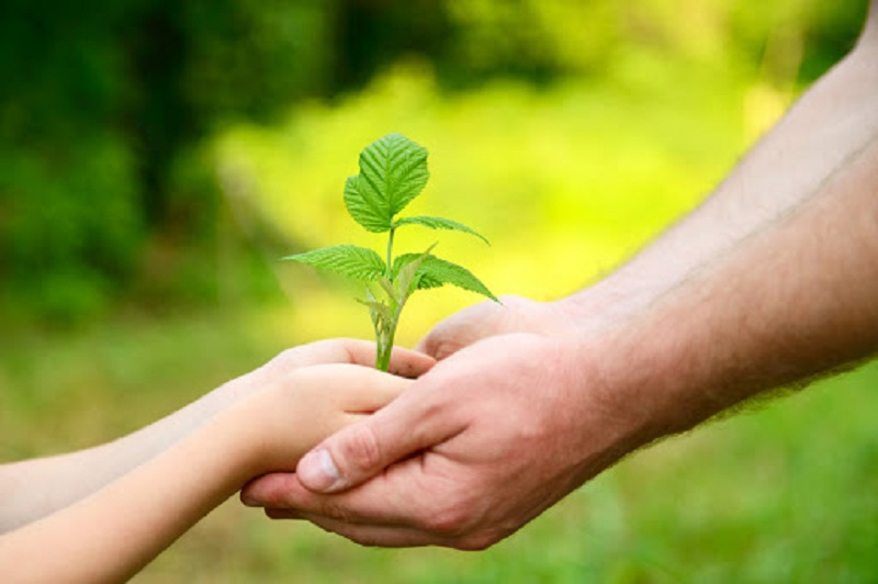 Chia sẻ vừa đủ