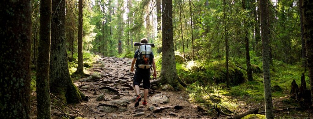 Lost in a forest is my unforgettable experience in my life
