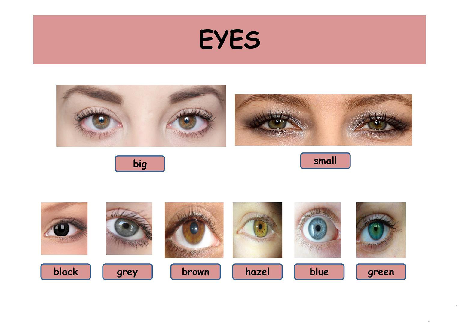 Tính từ tiếng Anh miêu tả mắt