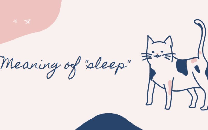 Ý nghĩa và cách dùng Sleep tiếng Anh