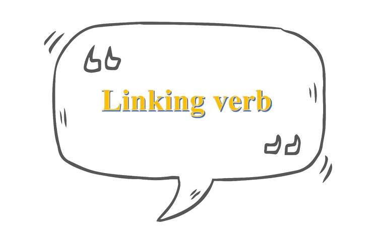 Bài tập về Linking verb