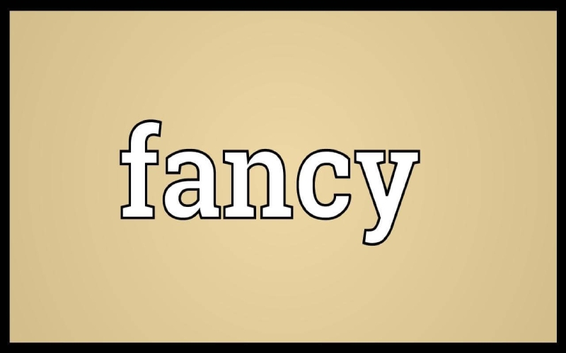 Fancy là gì – Định nghĩa